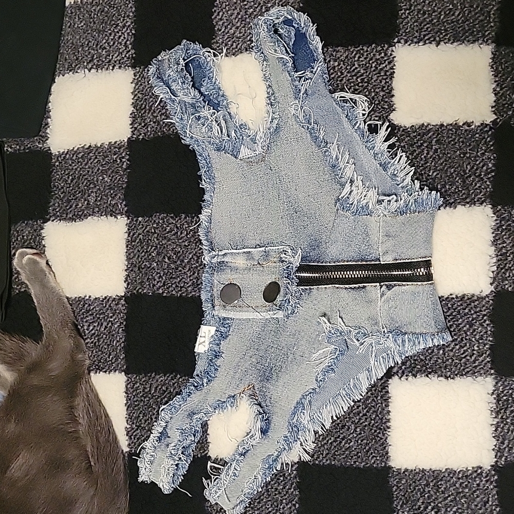 Sexy cut off low rise zip around shorts